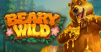 Play Beary Wild